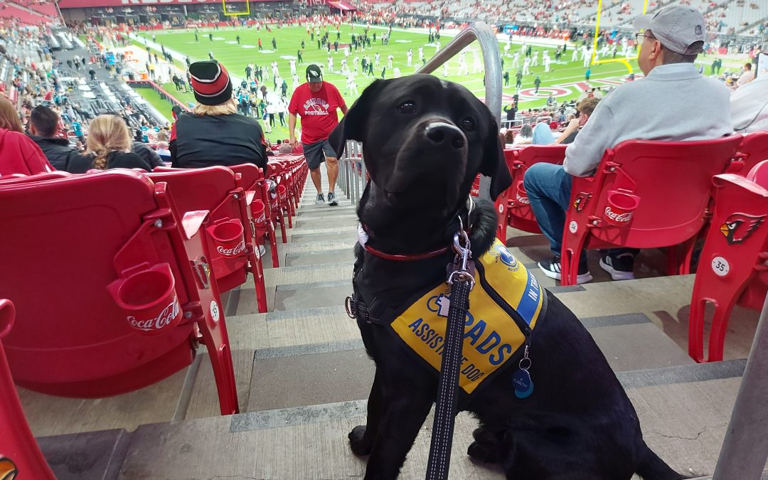 Furrow | November 2025