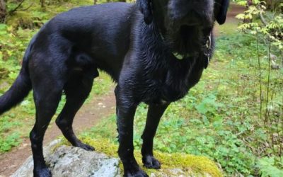 Baldwin | October 2025