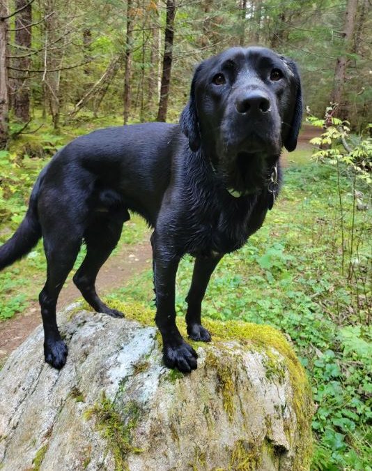 Baldwin | October 2025