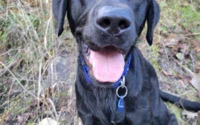 Bazinga | October 2025