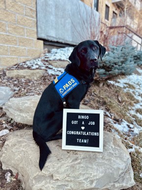 Bingo | November 2025