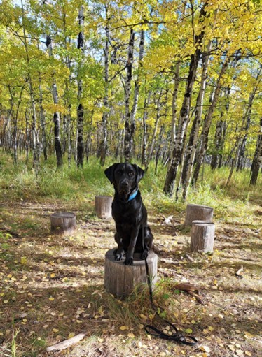 Bingo | October 2025