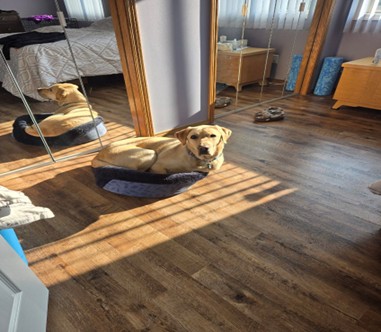 Bowden | November 2025