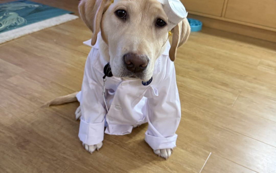 Bowie II | October 2025