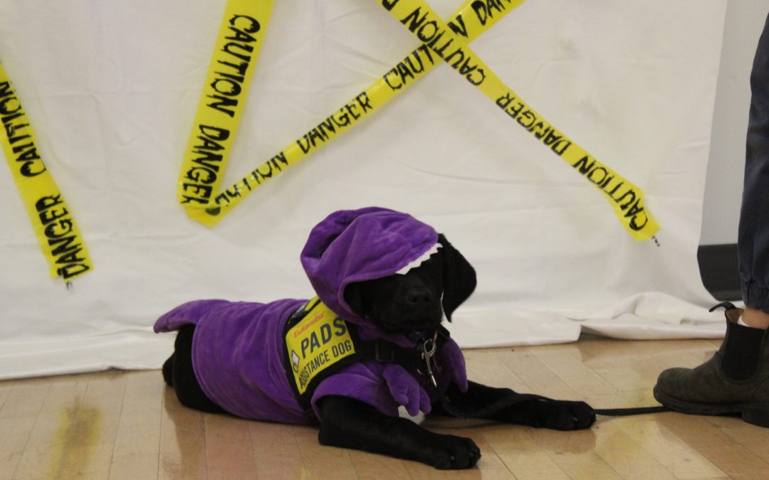 Bubba II | October 2025