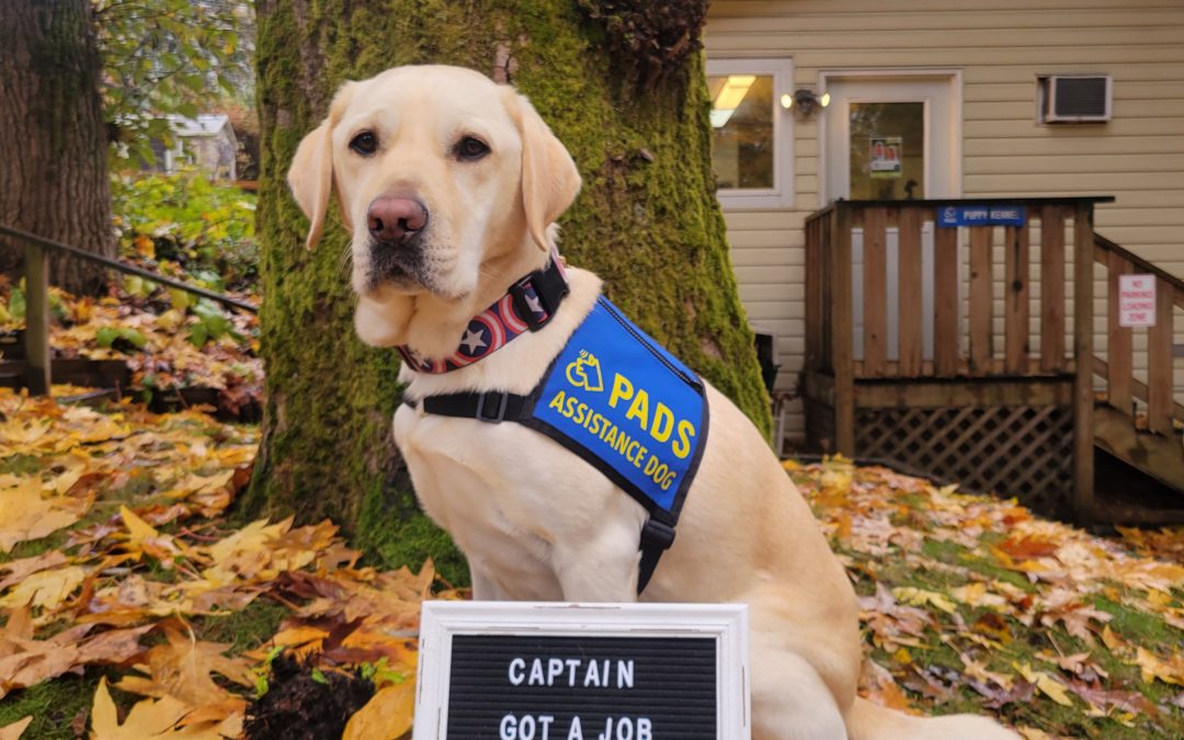 Captain | November 2025