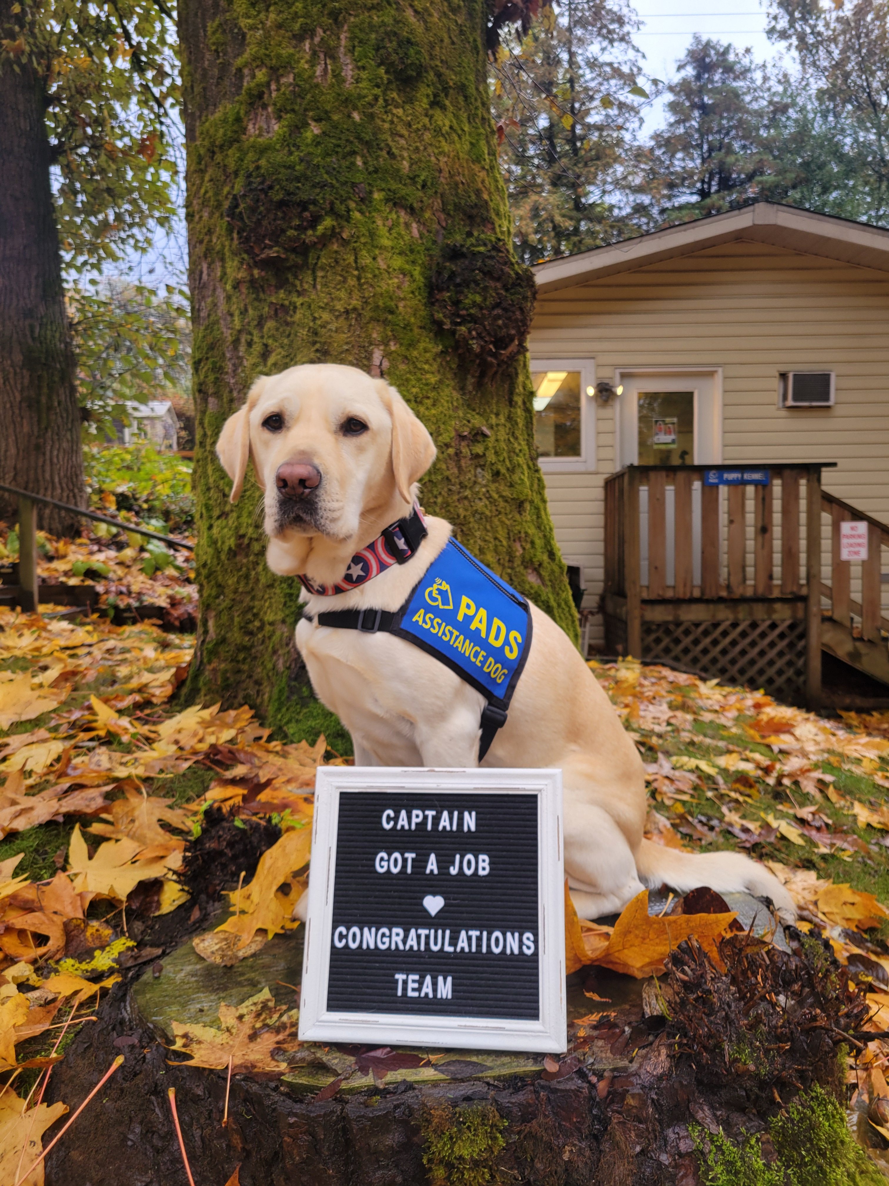 Captain | November 2025