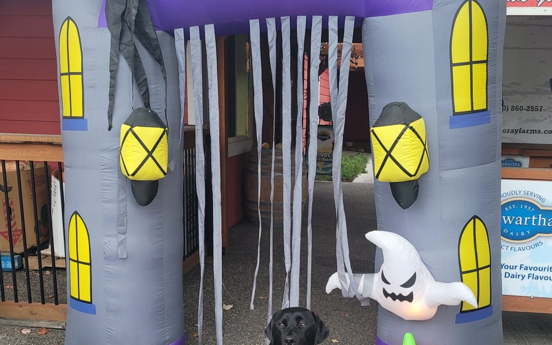 Digger | October 2025