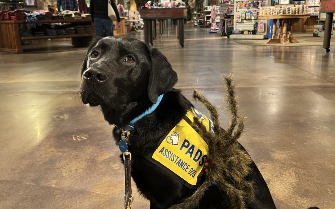 Donner II | October 2025