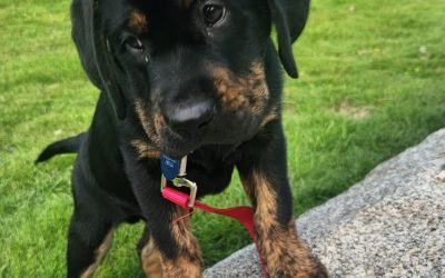 Eddie III | October 2025