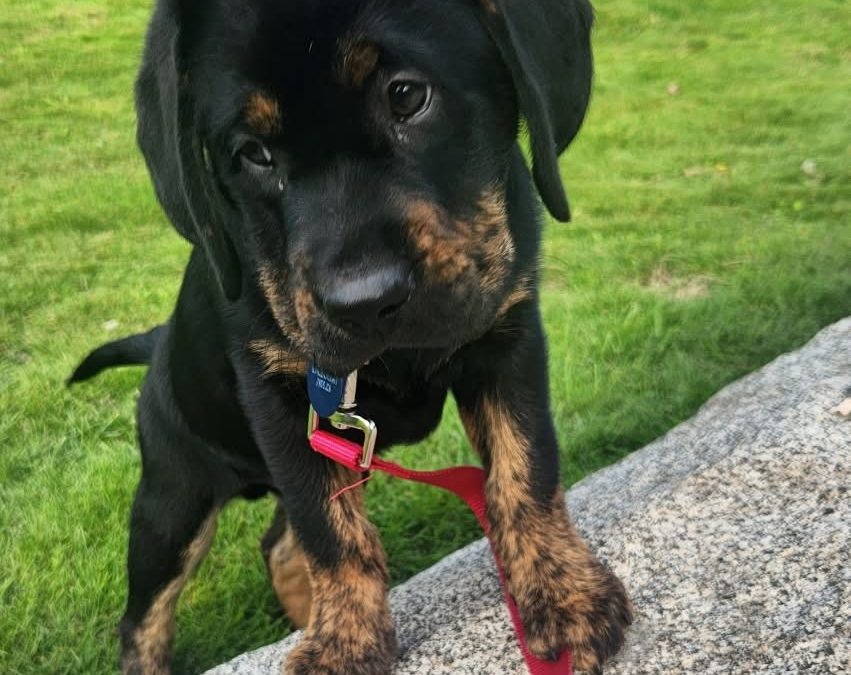 Eddie III | October 2025