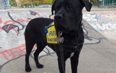 Furrow | October 2025