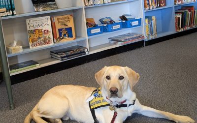 Gaffer | October 2025