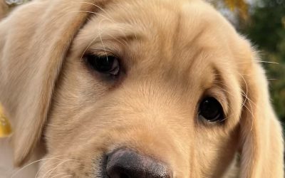 Glover | October 2025