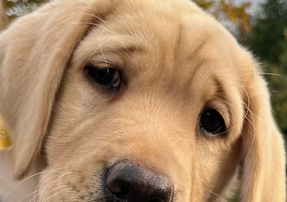 Glover | October 2025