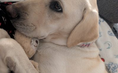 Golly | October 2025