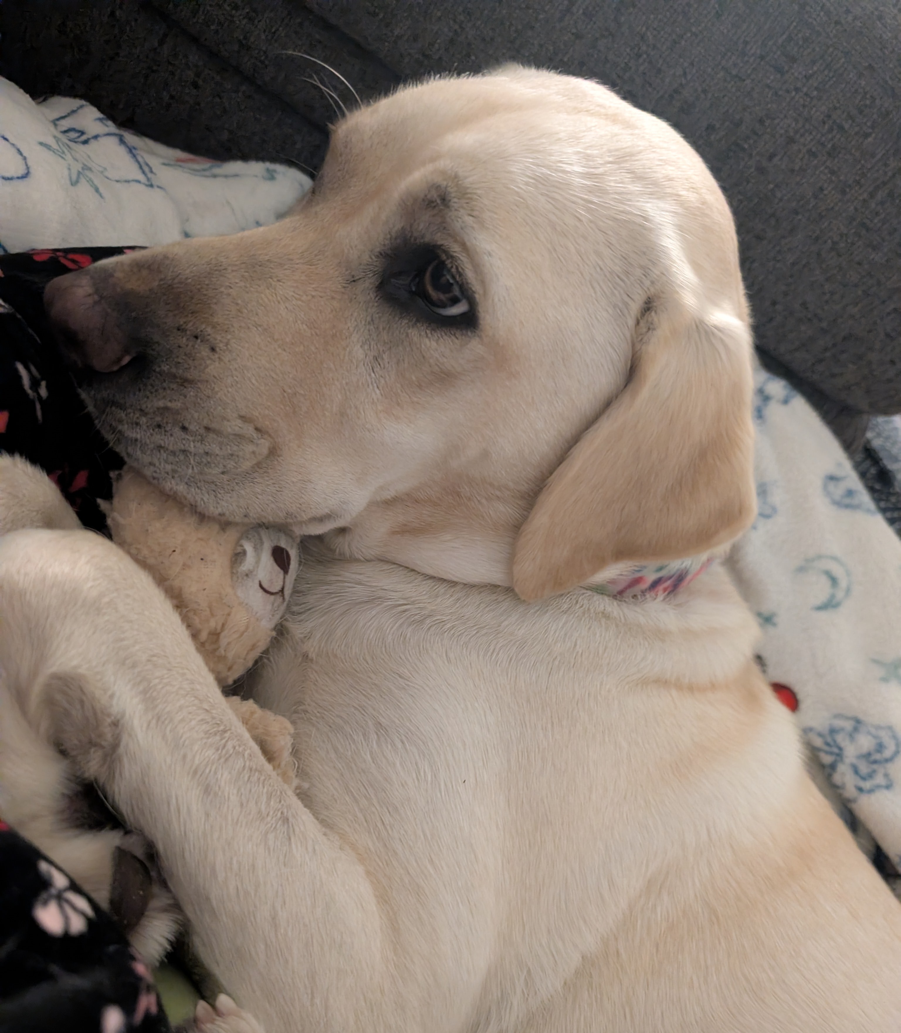 Golly | October 2025