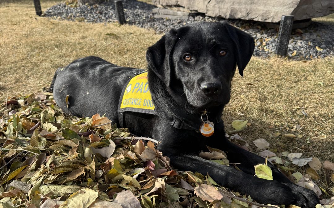 Coola | October 2025