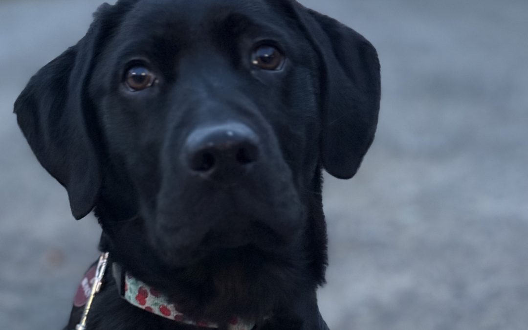 Brandy | October 2025