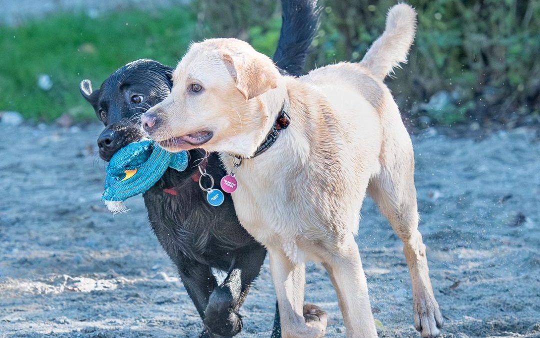 Allen | October 2025