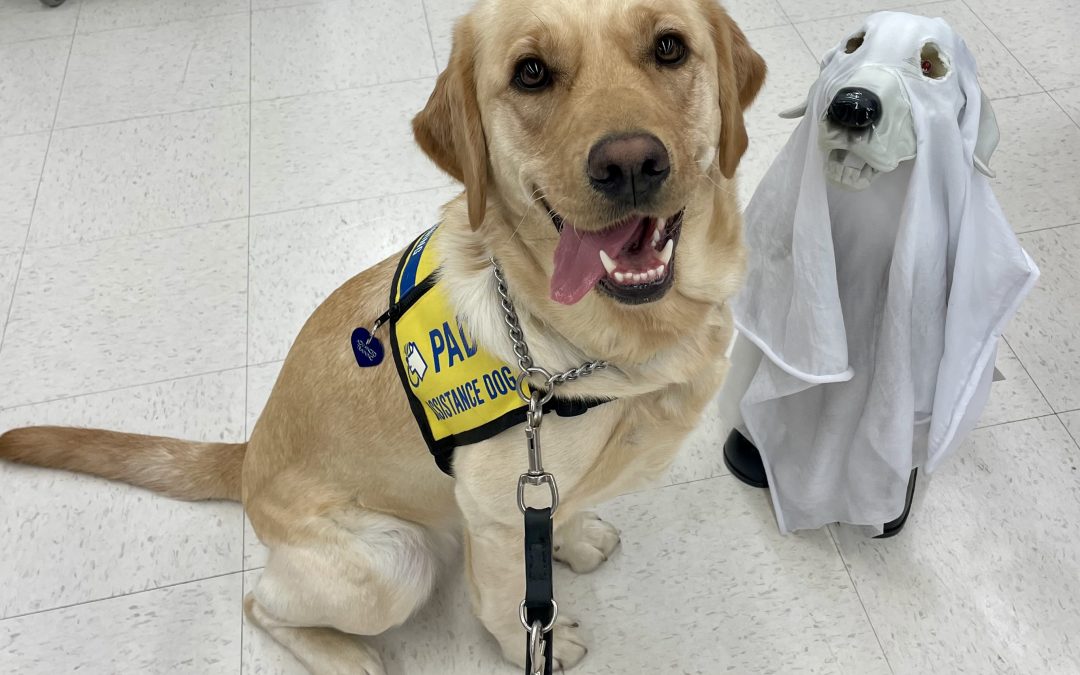 Korra | October 2025