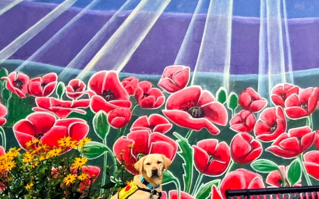 Toffee | October 2025