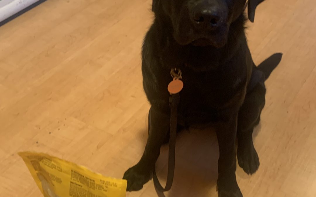 Belle IV | October 2025