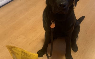 Belle IV | October 2025