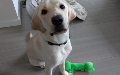 Smaug | October 2025