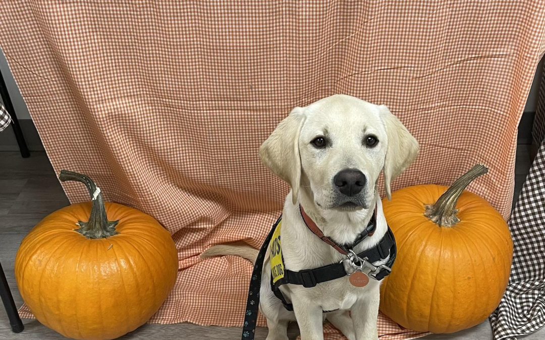 Sturko | October 2025