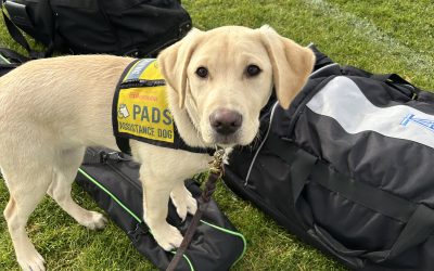 Carpie | October 2025