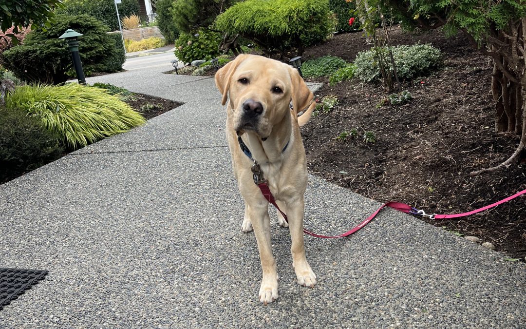 Casey | October 2025