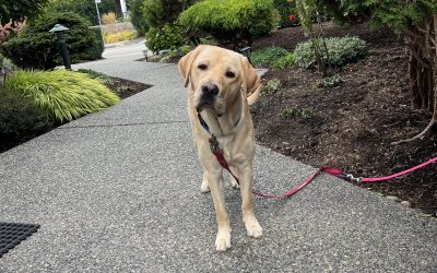 Casey | October 2025