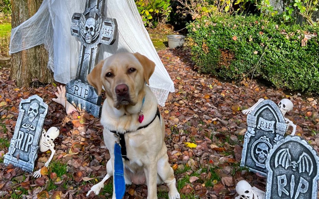 Keller | October 2025