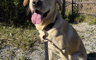 Picard | October 2025