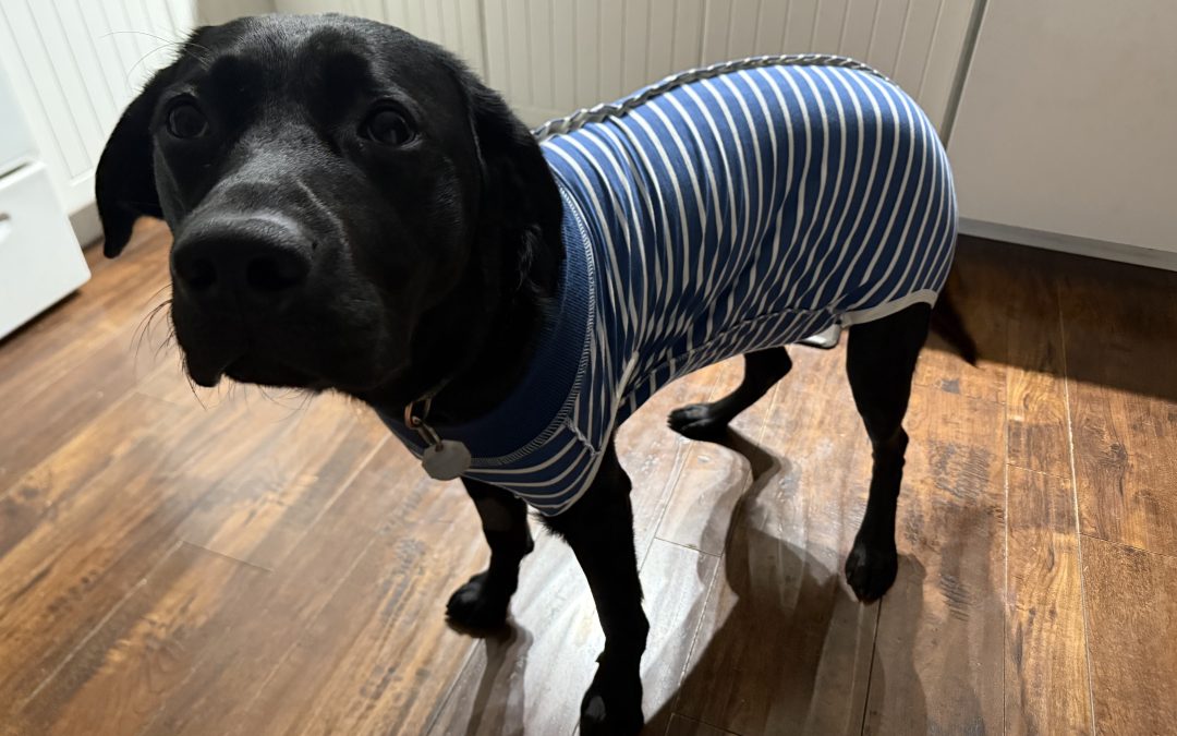 Vaseux | October 2025