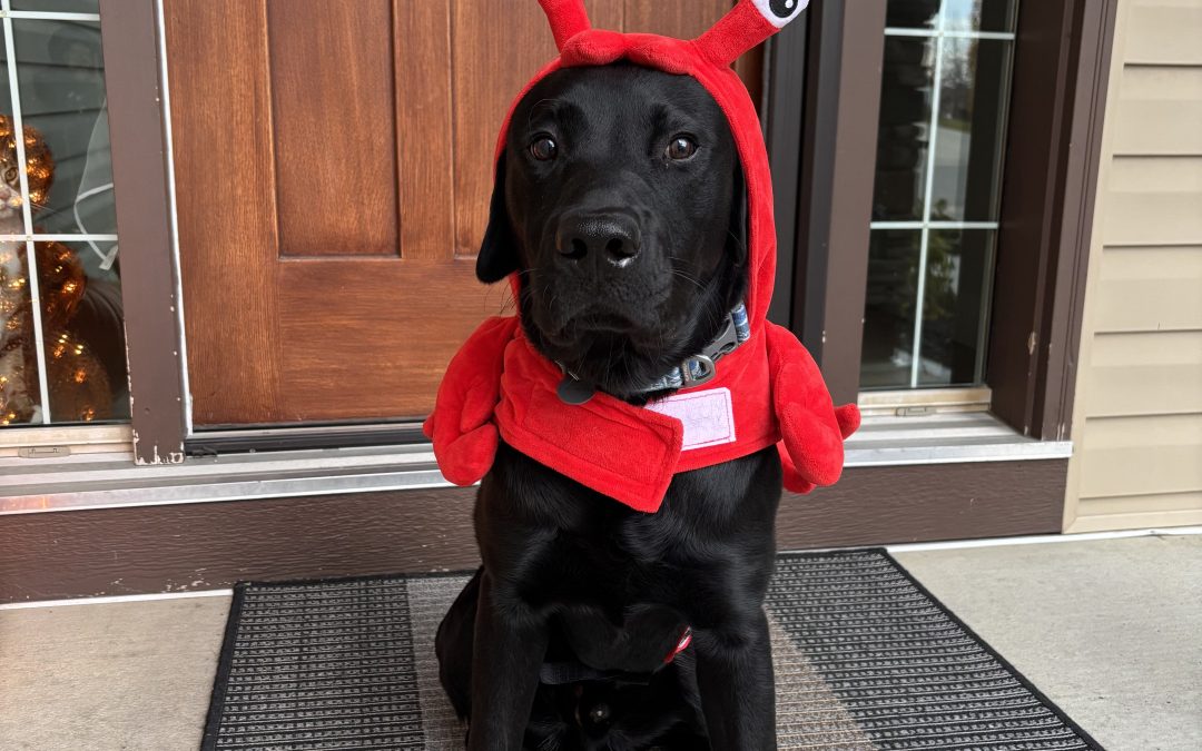 Doane | October 2025