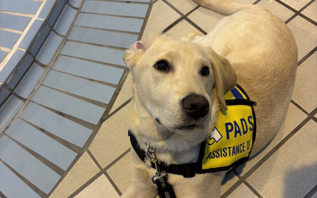 Lylie | October 2025