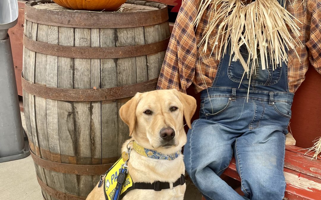 Honey IV | October 2025