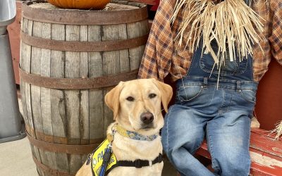 Honey IV | October 2025