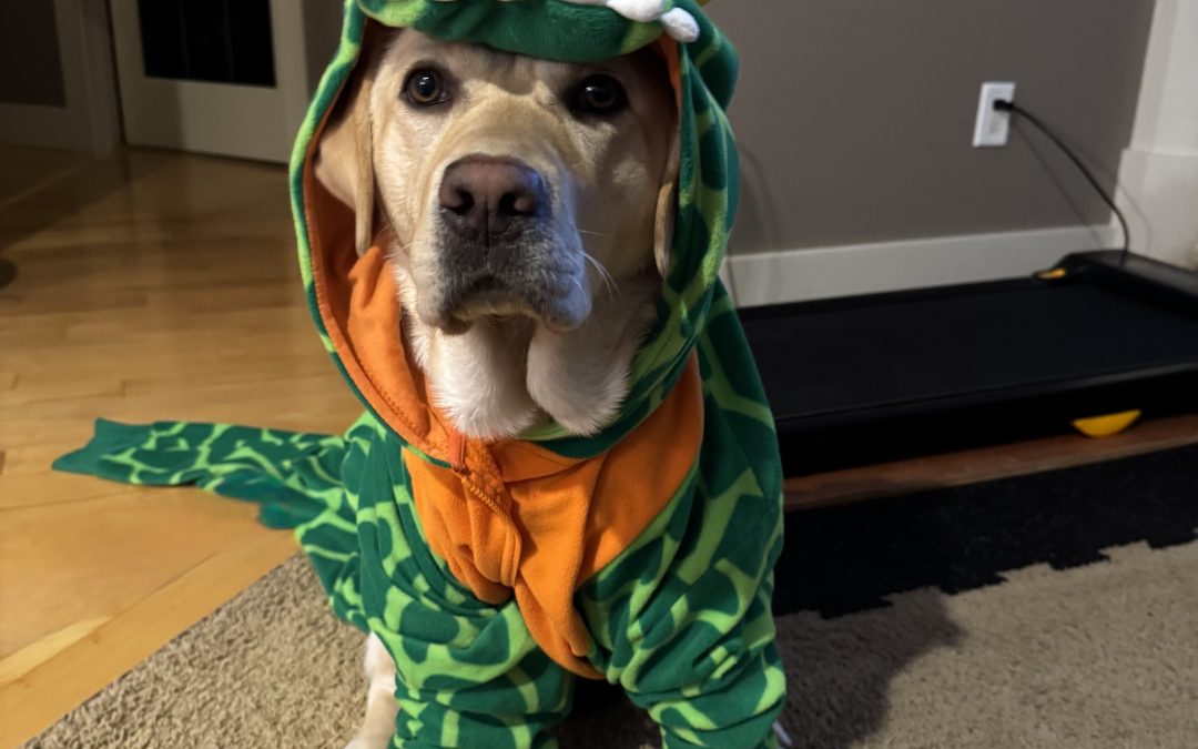 Skaha III | October 2025