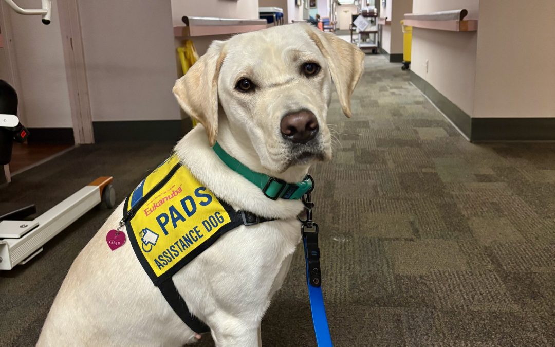 Gem II | October 2025