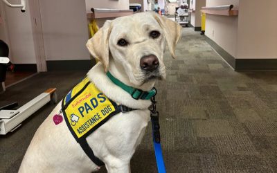 Gem II | October 2025