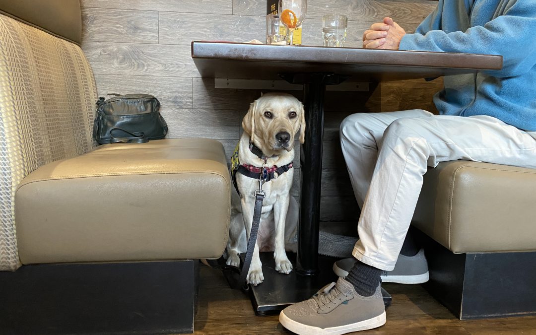 Brava | October 2025