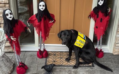 Gadget | October 2025