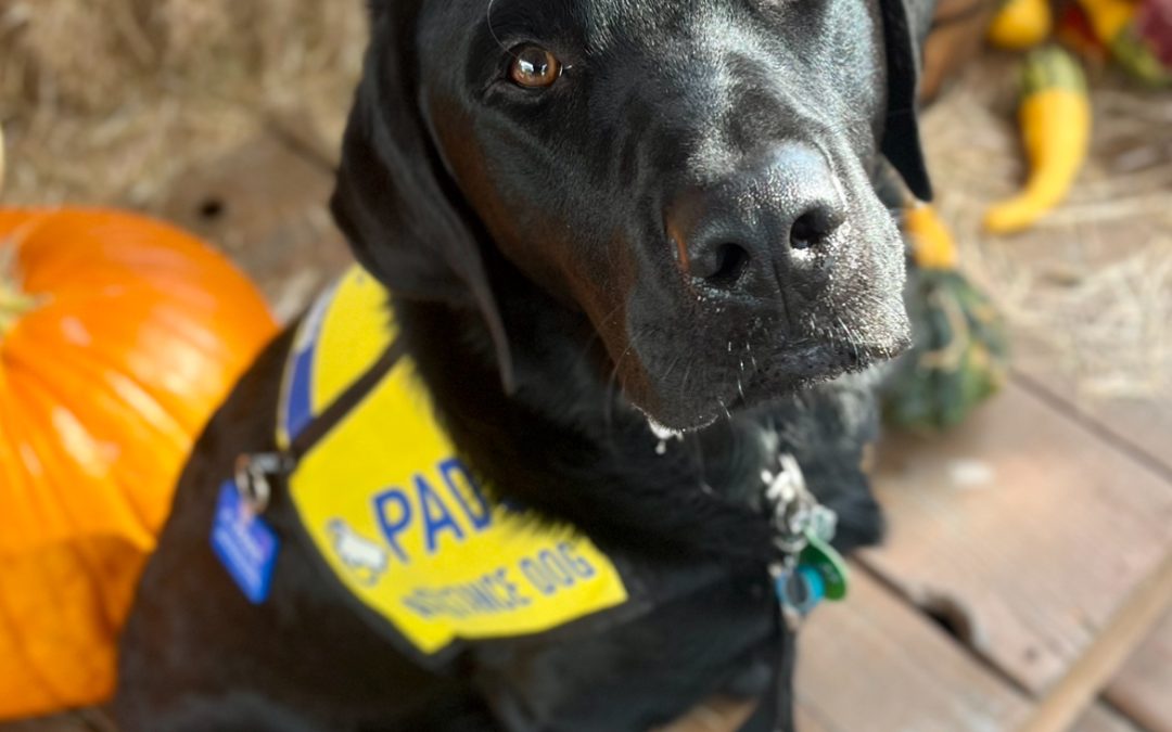 Arthur | October 2025