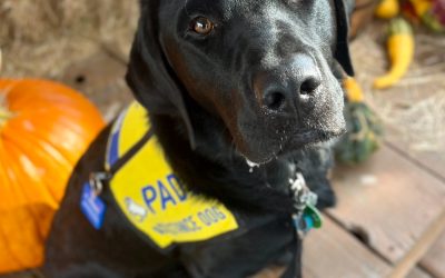 Arthur | October 2025