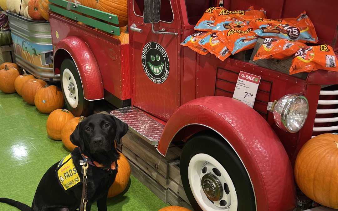 Chickpea | October 2025