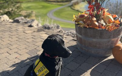 Shyloh | October 2025