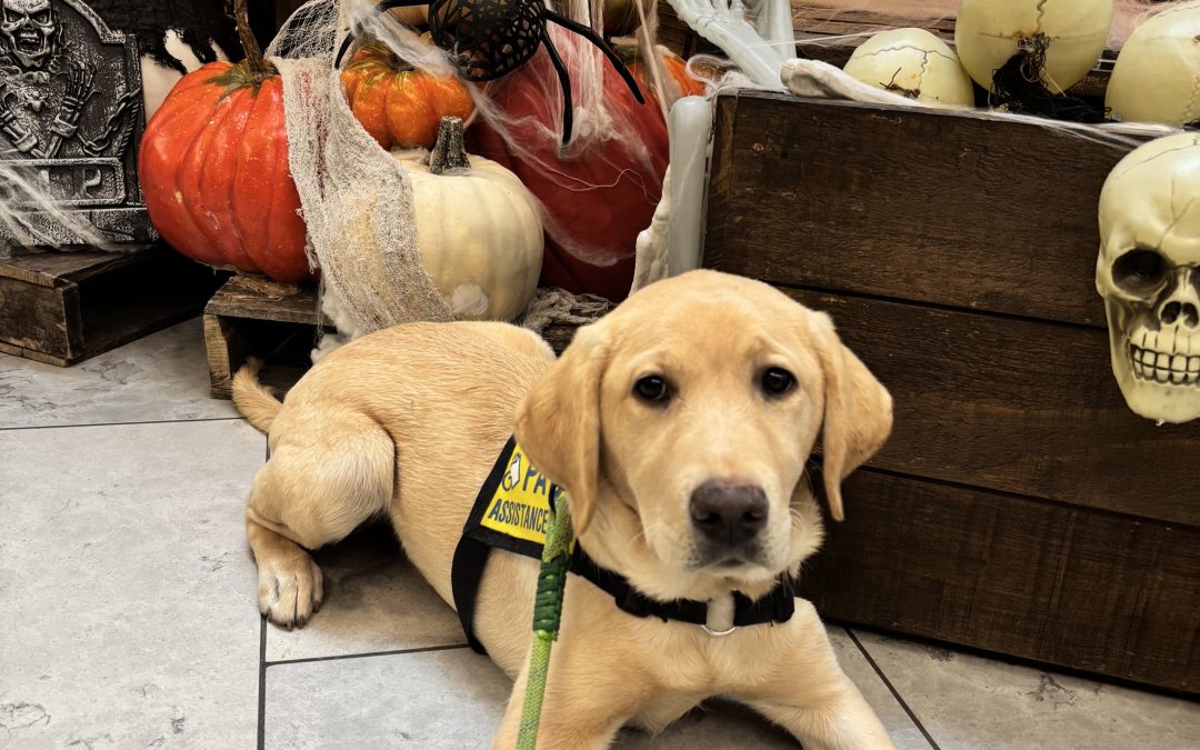 Andie | October 2025